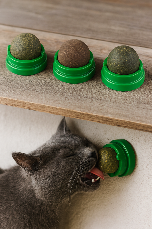 Jouet Mural à Boule de Cataire Naturelle – Plaisir et Stimulation pour Chat