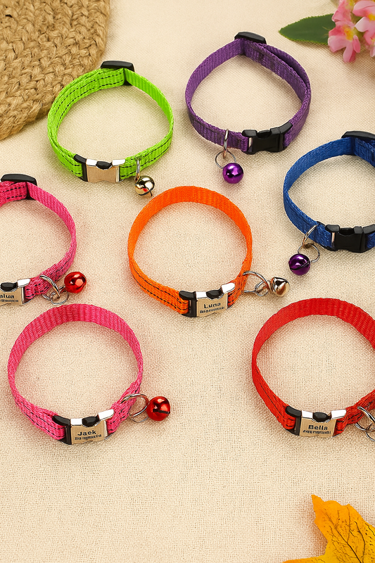 Collier Personnalisé pour Chat – Sécurité et Style Unique