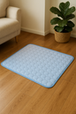 Tapis Rafraîchissant pour Chien – Confort et Fraîcheur en Été