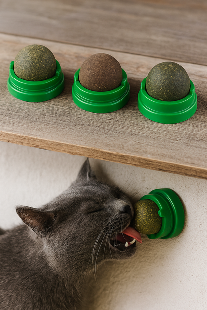 Jouet Mural à Boule de Cataire Naturelle – Plaisir et Stimulation pour Chat