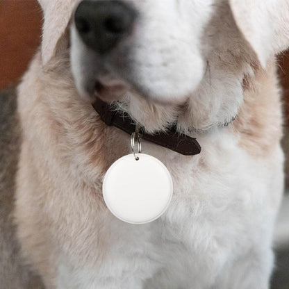Traceur GPS Intelligent pour Chiens, Chats et Enfants – Porte-Clés Connecté Multifonction