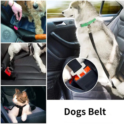 Ceinture de Sécurité Ajustable – Protection en Voiture pour Chiens et Chats