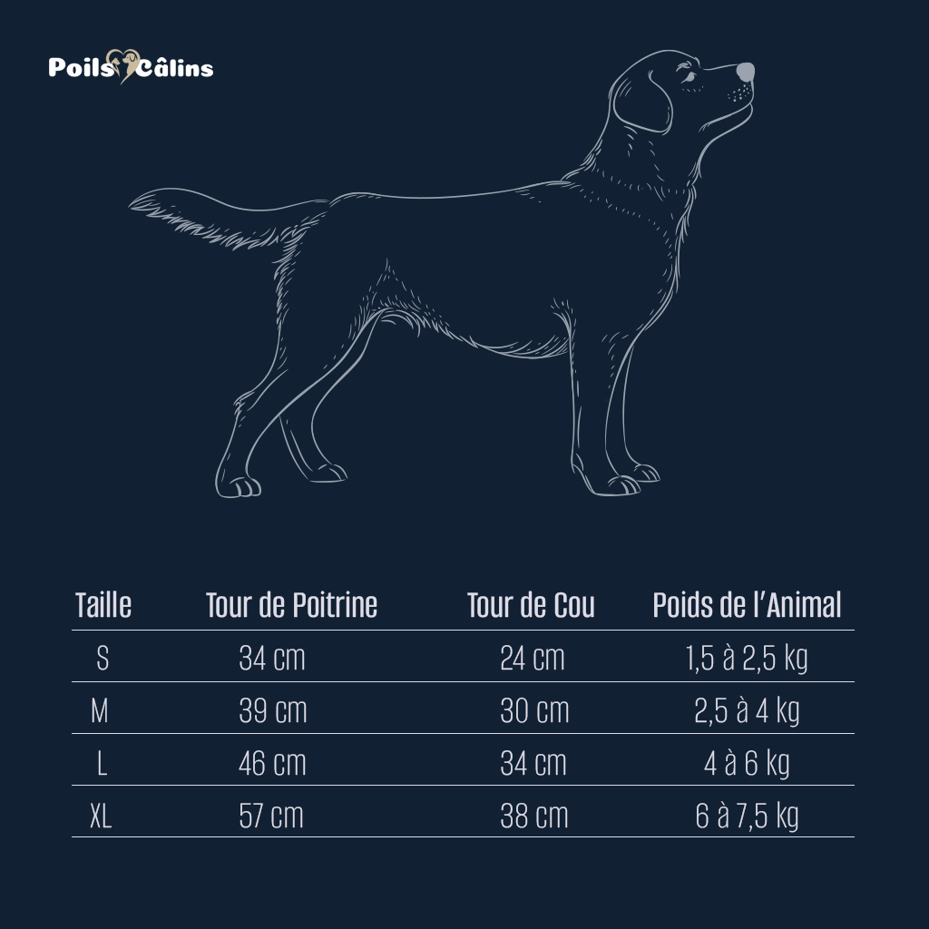 Harnais Réglable avec Laisse – Confort et Sécurité
