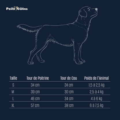 Harnais Réglable avec Laisse – Confort et Sécurité