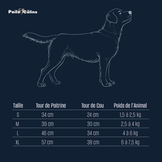 Harnais Réglable avec Laisse – Confort et Sécurité