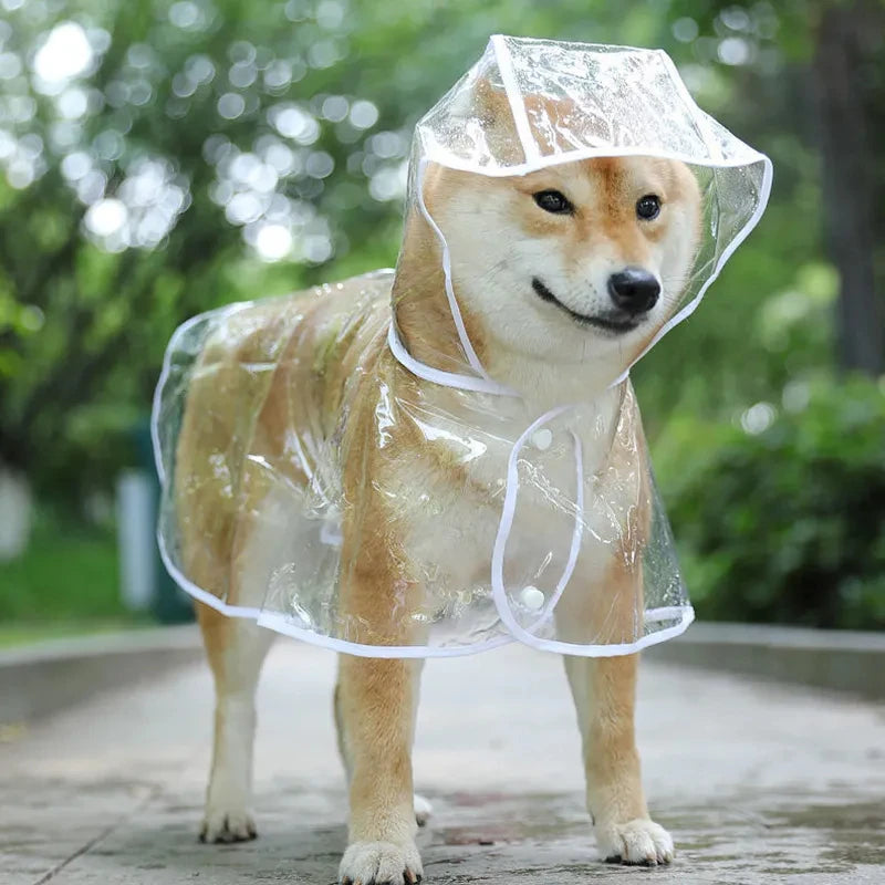 Imperméable Transparent pour Chien et Chiot – Protection Discrète et Confortable