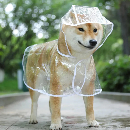 Imperméable Transparent pour Chien et Chiot – Protection Discrète et Confortable