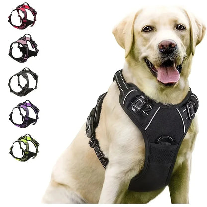 Ensemble Collier, Harnais, Laisse et Gilet – Pour Chiens Petits à Moyens