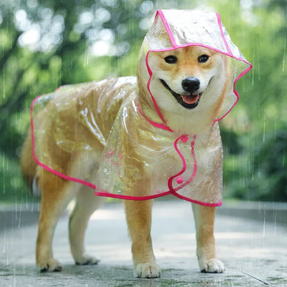 Imperméable Transparent pour Chien et Chiot – Protection Discrète et Confortable