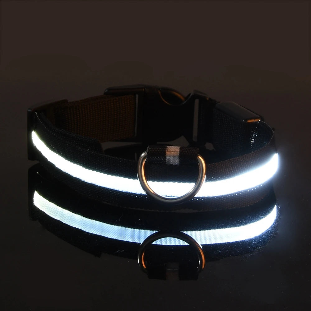 Laisse et Collier Lumineux LED en Nylon – Sécurité Nocturne pour Chiens