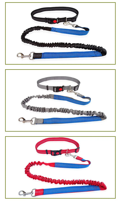 Laisse Mains Libres pour Chien – Liberté et Confort en Promenade