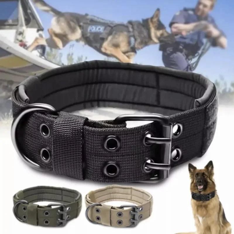 Collier Ajustable pour Chien – Confort, Style et Sécurité