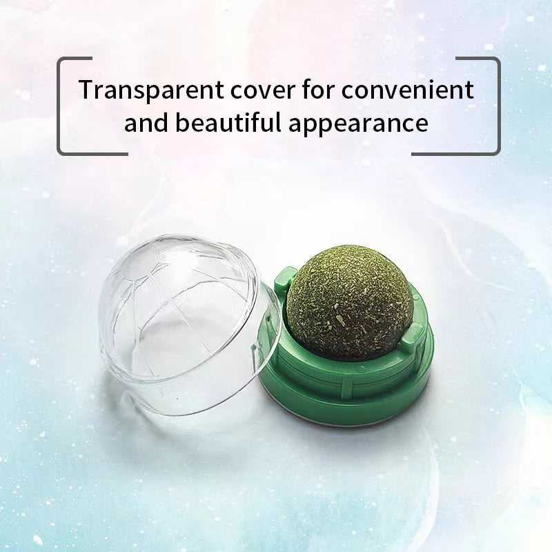 Jouet Mural à Boule de Cataire Naturelle – Plaisir et Stimulation pour Chat