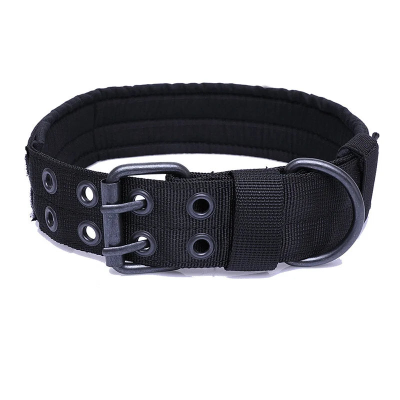 Collier Ajustable pour Chien – Confort, Style et Sécurité