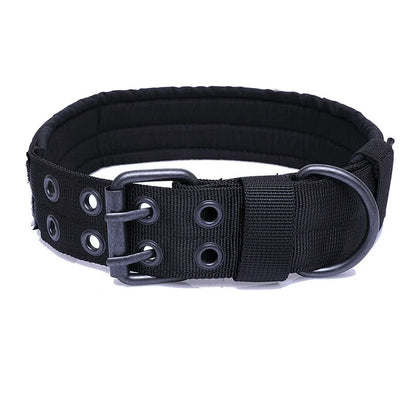 Collier Ajustable pour Chien – Confort, Style et Sécurité