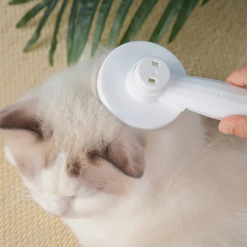 Brosse Démêlante pour Poils de Chat – Douceur et Confort