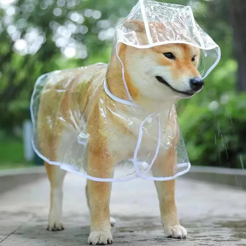 Imperméable Transparent pour Chien et Chiot – Protection Discrète et Confortable