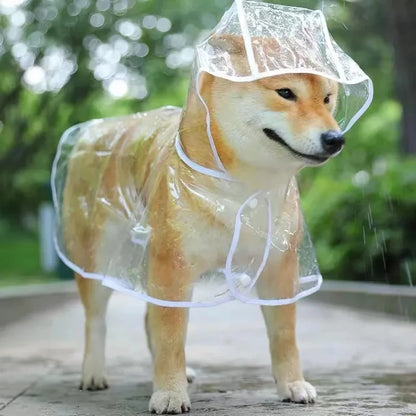 Imperméable Transparent pour Chien et Chiot – Protection Discrète et Confortable