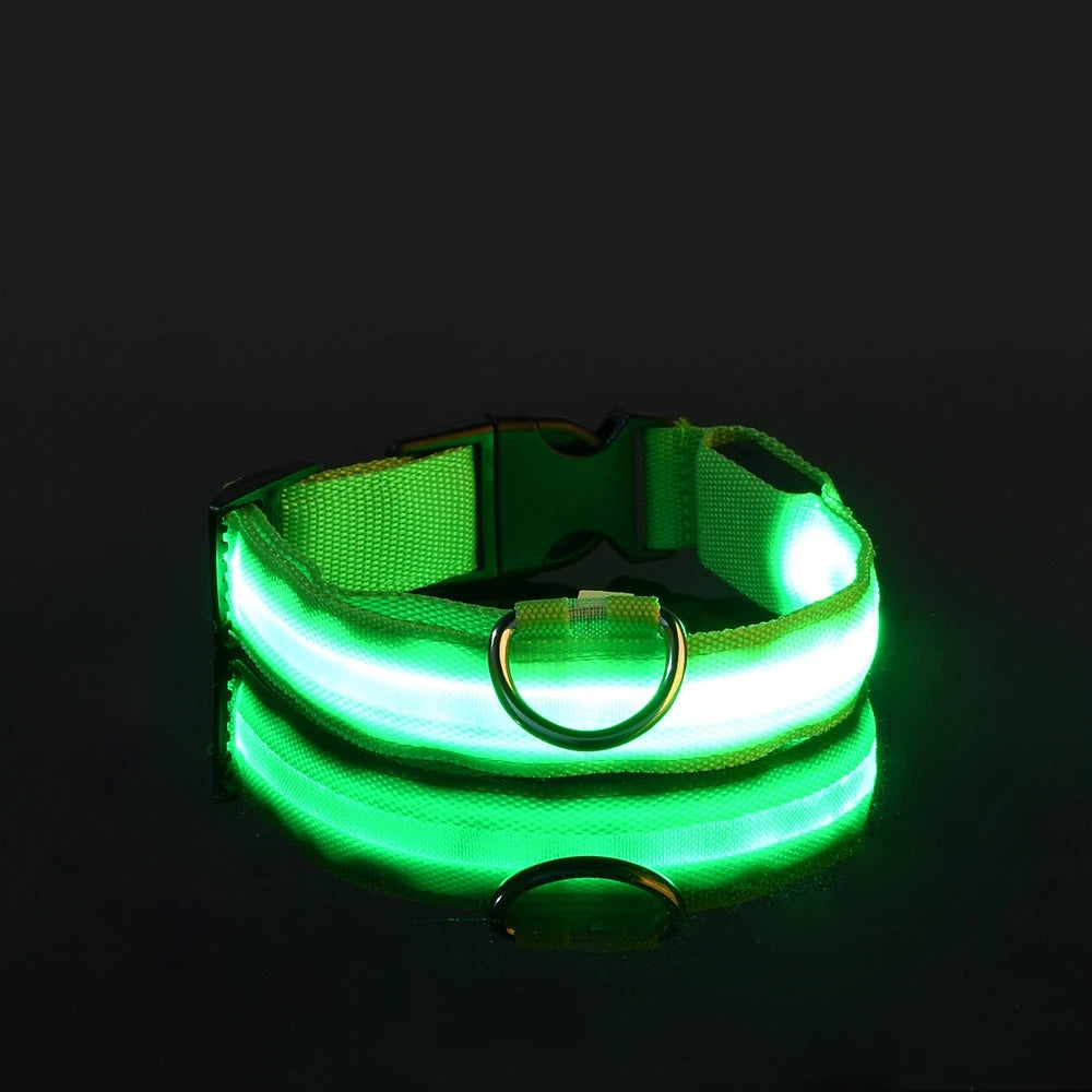 Laisse et Collier Lumineux LED en Nylon – Sécurité Nocturne pour Chiens