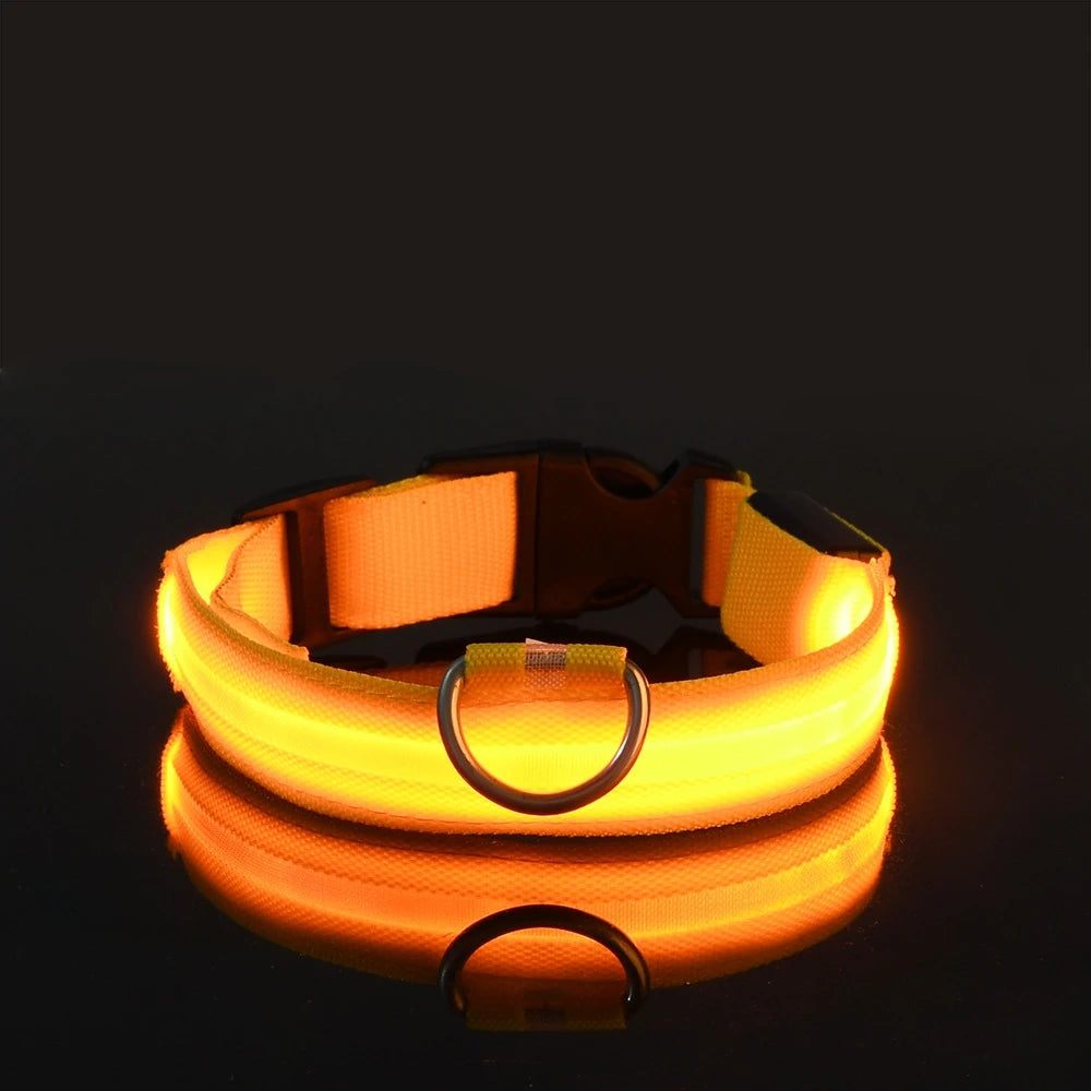Laisse et Collier Lumineux LED en Nylon – Sécurité Nocturne pour Chiens