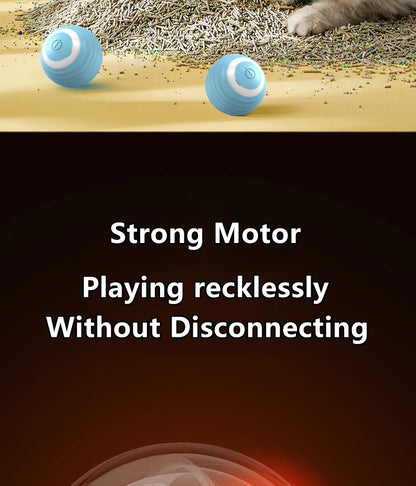 Lot de 2 Balles Interactives pour Chat – Jeu et Stimulation