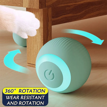 Lot de 2 Balles Interactives pour Chat – Jeu et Stimulation