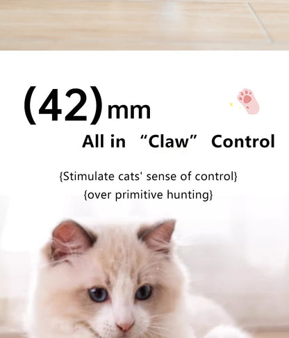 Lot de 2 Balles Interactives pour Chat – Jeu et Stimulation