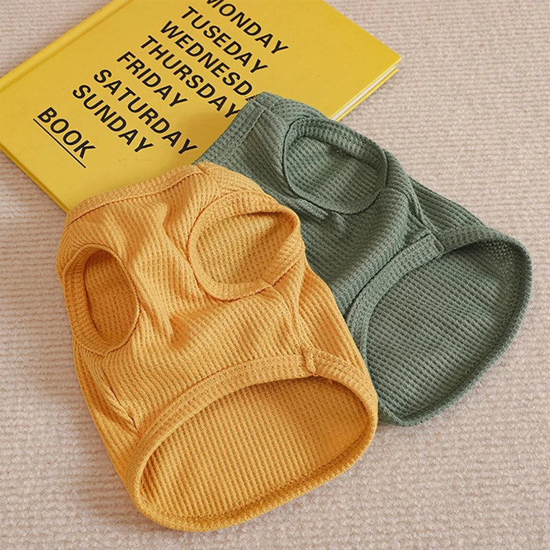 Gilet pour Chien ou Chat – Confort, Style et Liberté de Mouvement