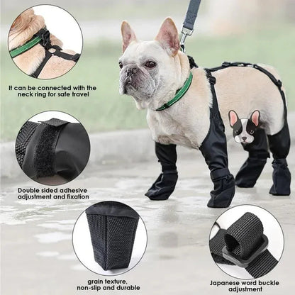 Chaussures Imperméables pour Chien - Bottines Réglables et Respirantes