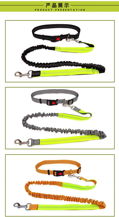 Laisse Mains Libres pour Chien – Liberté et Confort en Promenade