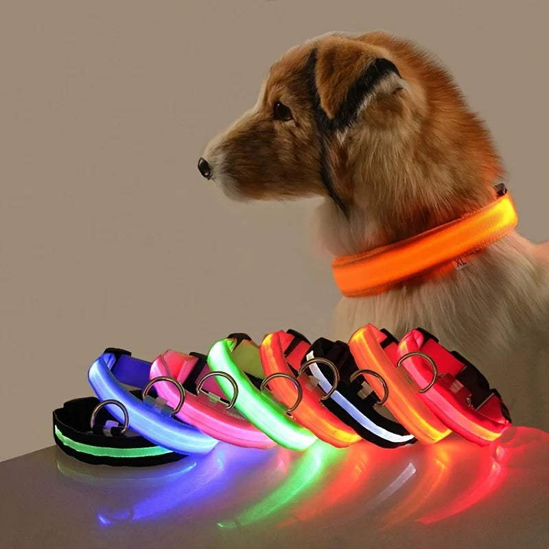 Laisse et Collier Lumineux LED en Nylon – Sécurité Nocturne pour Chiens