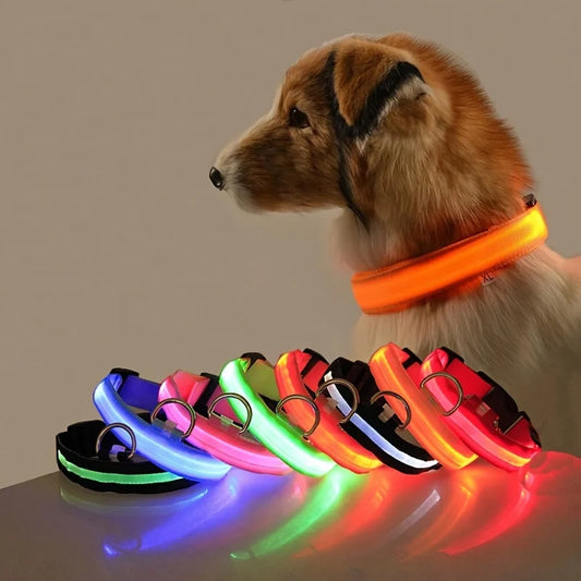 Laisse et Collier Lumineux LED en Nylon – Sécurité Nocturne pour Chiens