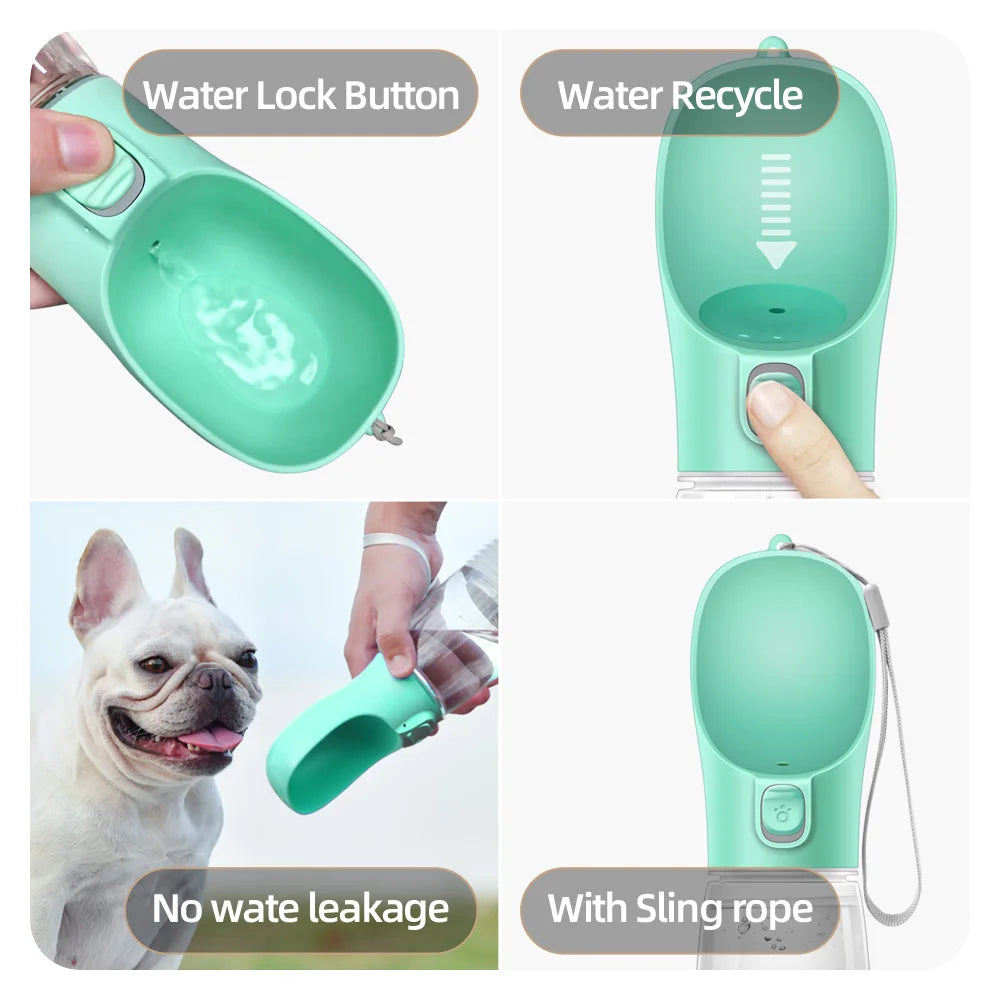 Bouteille d’Eau pour Chien – Hydratation Facile en Balade