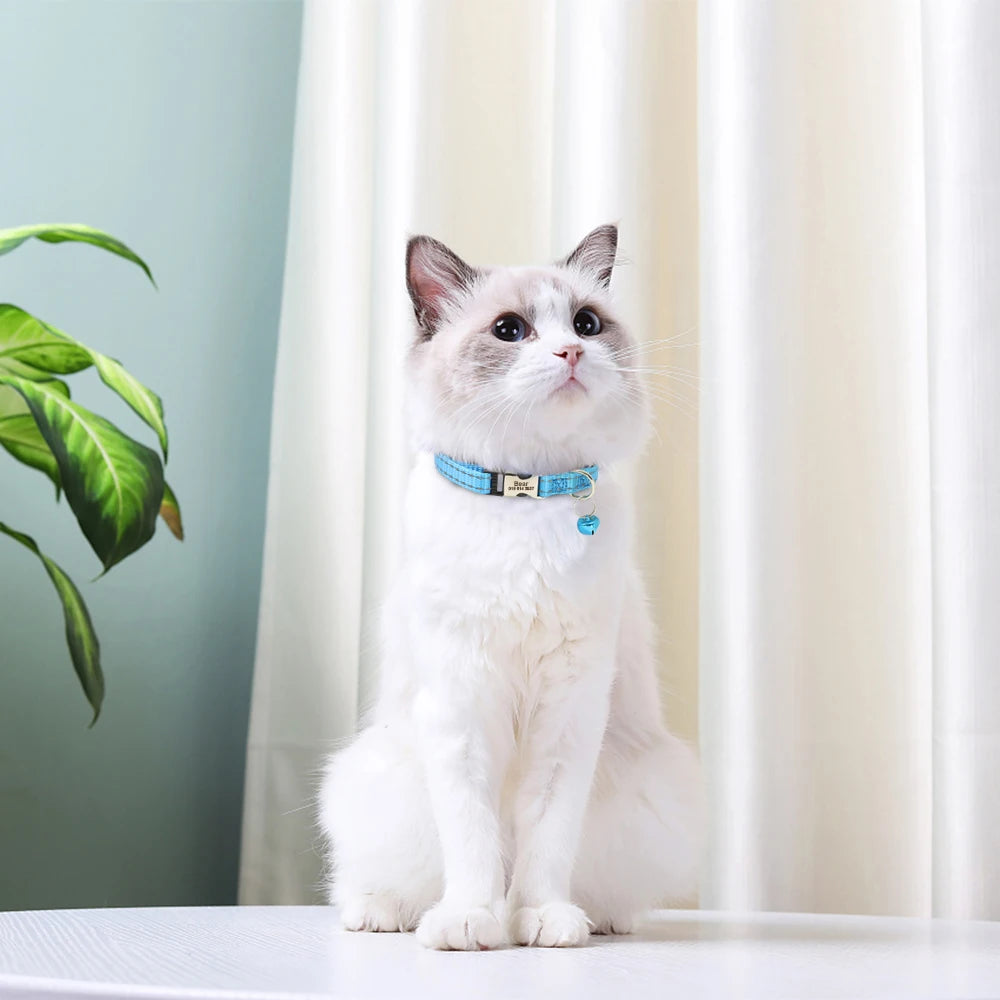 Collier Personnalisé pour Chat – Sécurité et Style Unique