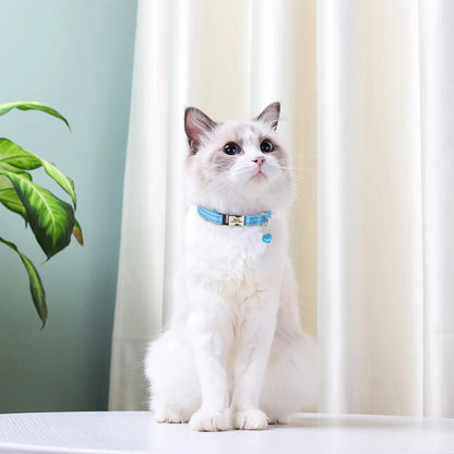 Collier Personnalisé pour Chat – Sécurité et Style Unique