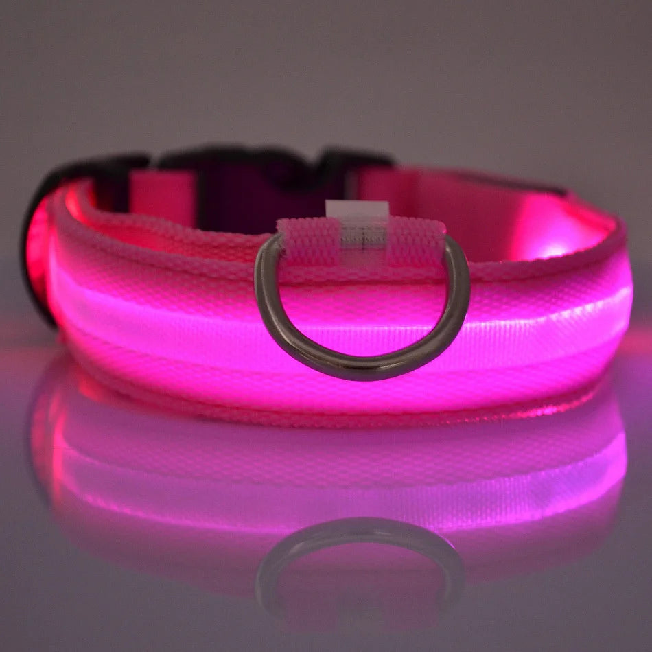 Laisse et Collier Lumineux LED en Nylon – Sécurité Nocturne pour Chiens