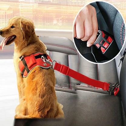 Ceinture de Sécurité Ajustable pour Animaux – Voyage en Voiture Sûr et Confortable