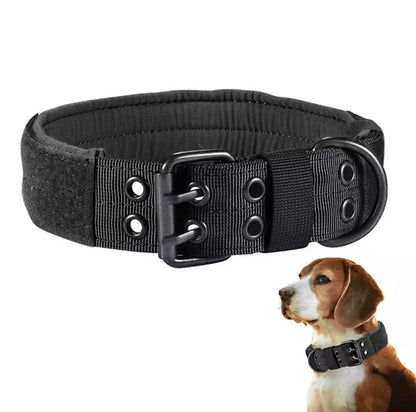Collier Ajustable pour Chien – Confort, Style et Sécurité