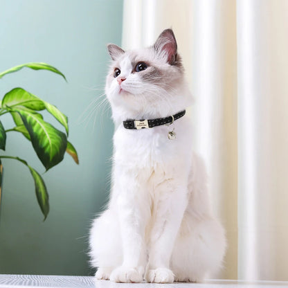 Collier Personnalisé pour Chat – Sécurité et Style Unique