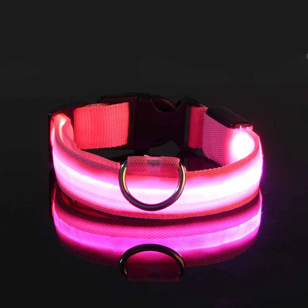 Laisse et Collier Lumineux LED en Nylon – Sécurité Nocturne pour Chiens