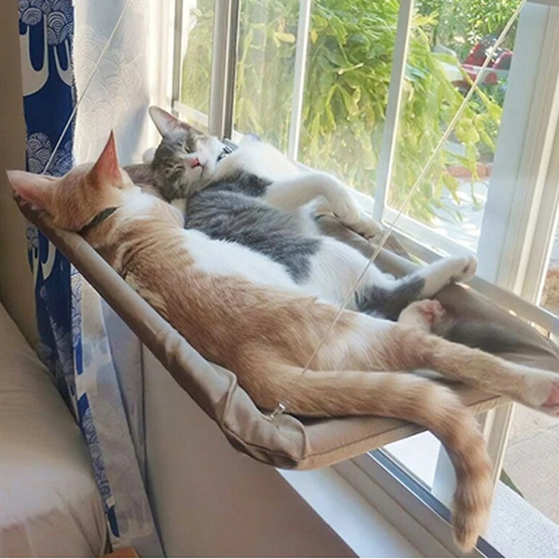 Hamac de Fenêtre pour Chat – Perchoir Suspendu avec Ventouses Résistantes jusqu'à 20 kg