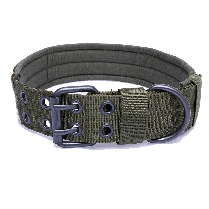 Collier Ajustable pour Chien – Confort, Style et Sécurité