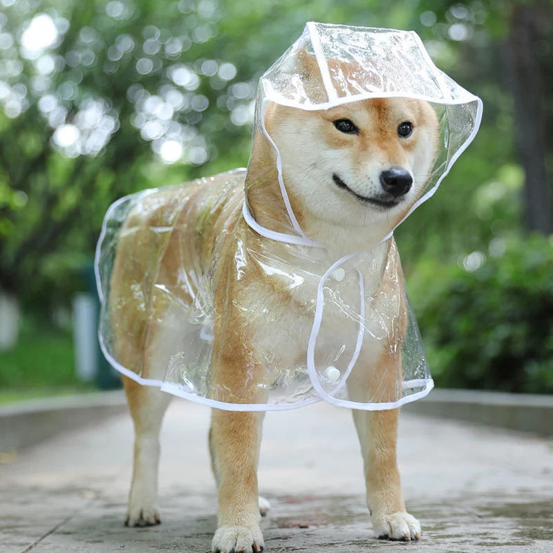 Imperméable Transparent pour Chien et Chiot – Protection Discrète et Confortable
