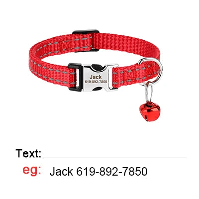 Collier Personnalisé pour Chat – Sécurité et Style Unique