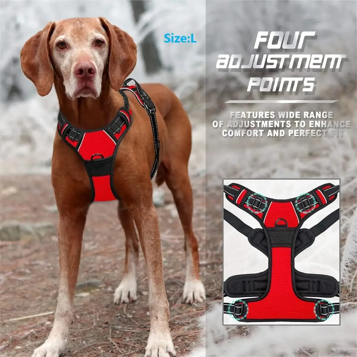 Ensemble Collier, Harnais, Laisse et Gilet – Pour Chiens Petits à Moyens