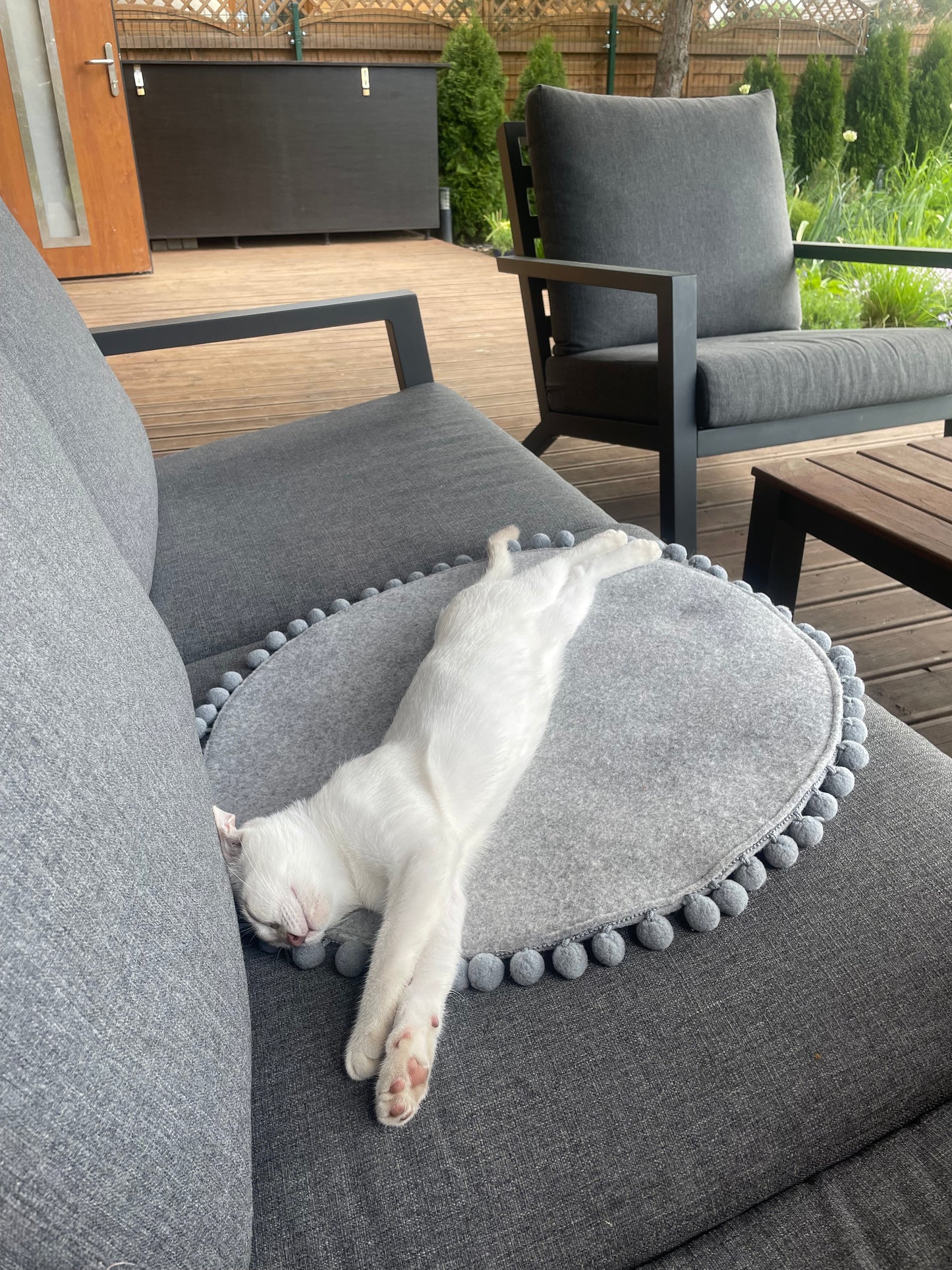 Lit en Feutre Premium pour Chat – Confort Naturel Toute l’Année