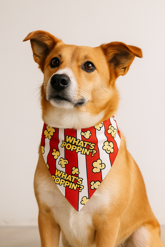Bandana “What’s Poppin” pour Chien & Chat - Style, Fun et Attitude