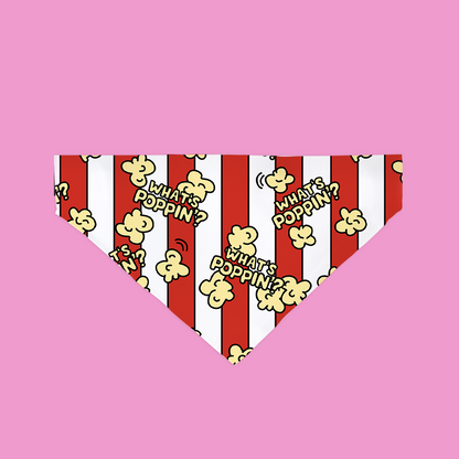 Bandana “What’s Poppin” pour Chien & Chat - Style, Fun et Attitude